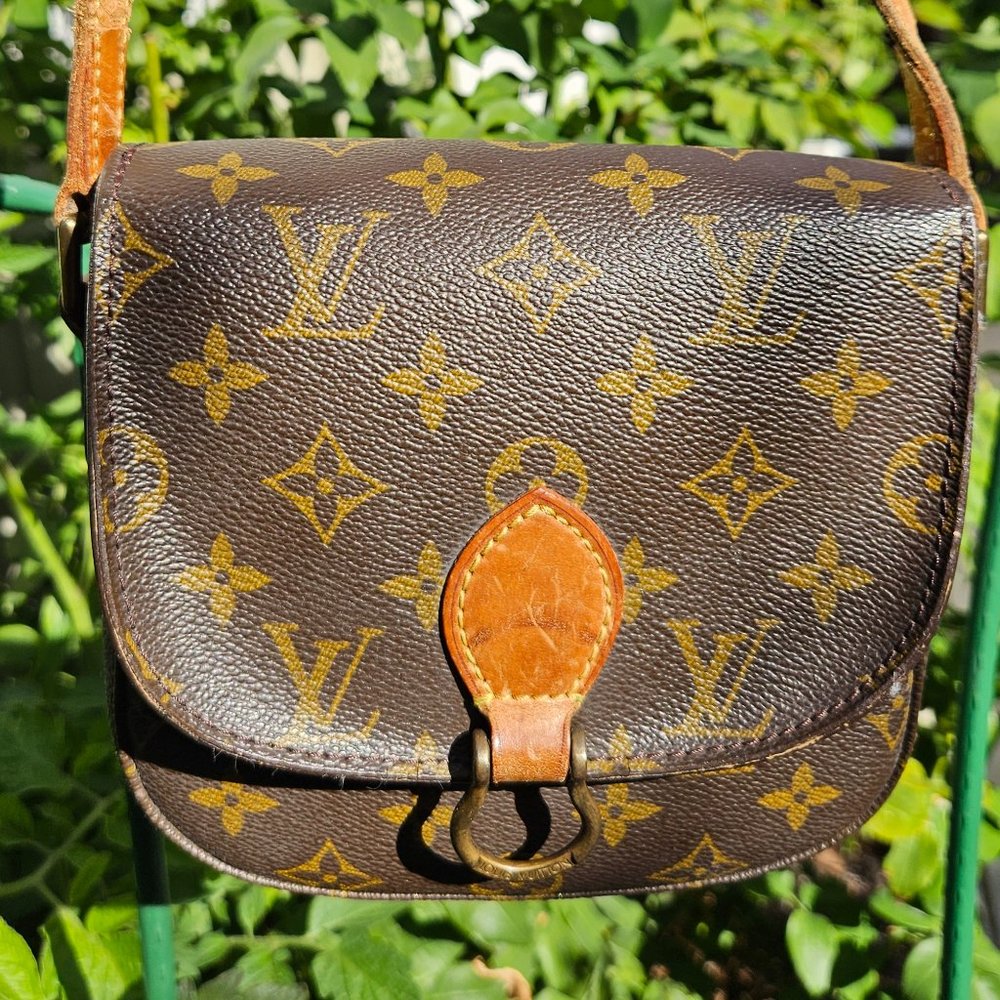 LOUIS VUITTON mini crossbody SAINT CLOUD pm - Picture 2 of 15